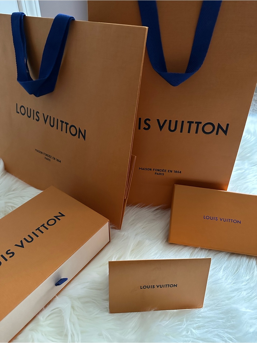 Louis Vuitton new bags & boxes